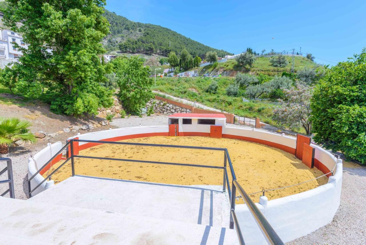 Casa Flores Con Piscina Interior Climatizada Alcaucin Exterior photo